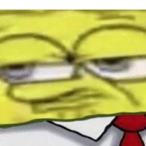 Meet your Posher, Chandler